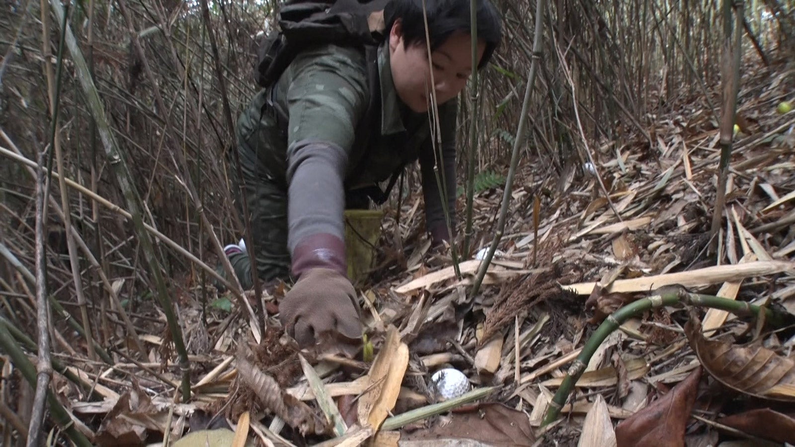 やす子（C）フジテレビ