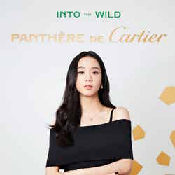 ジス（C）Cartier