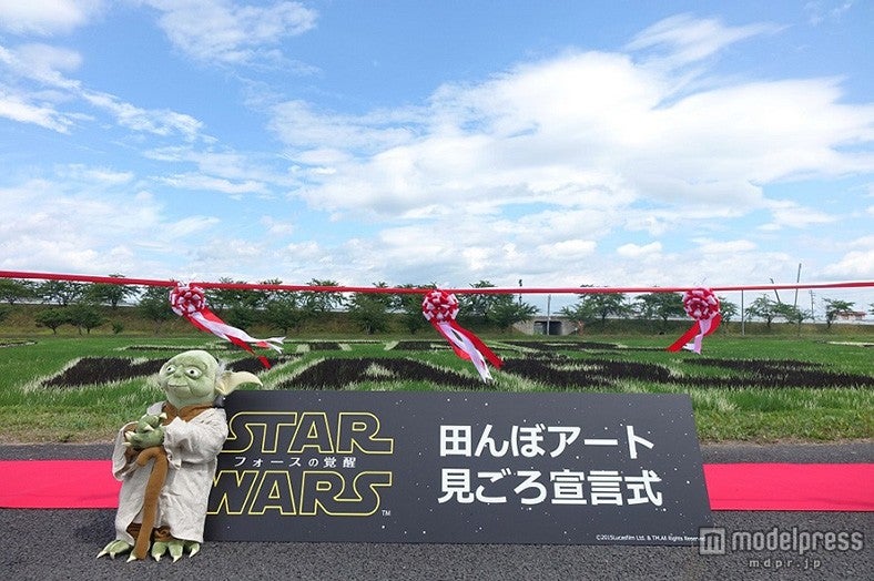見ごろ宣言式（C）2015Lucasfilm Ltd．＆TM．All Rights Reserved