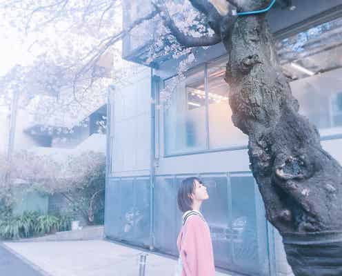 HKT48宮脇咲良、“サクラコラボ”で開花宣言