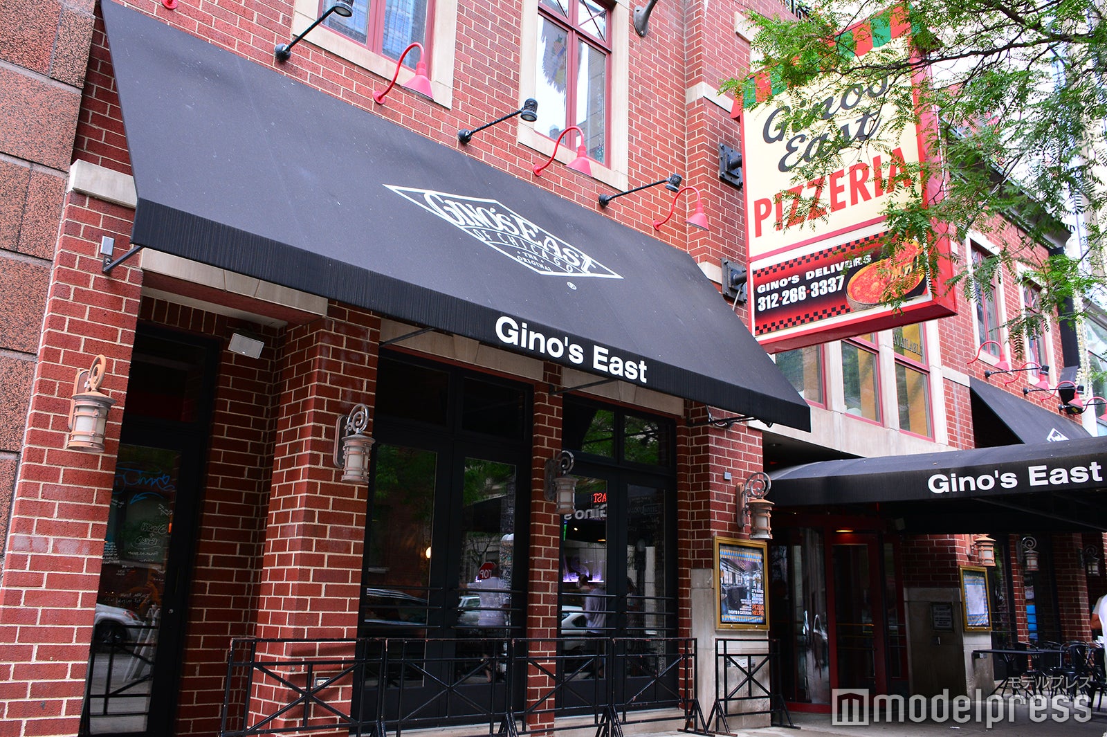 ジノスイースト（C）モデルプレス