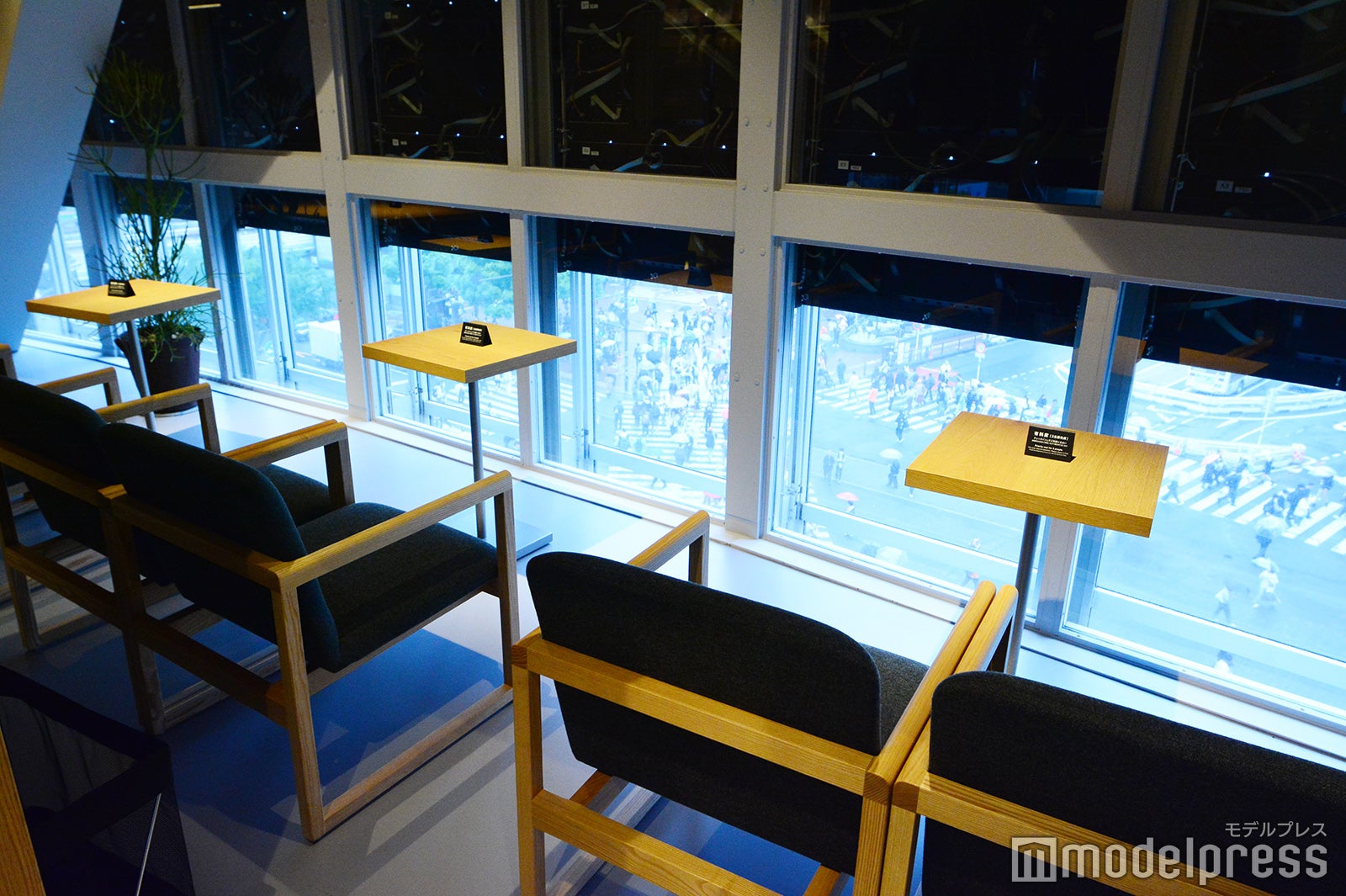 SHIBUYA TSUTAYA（C）モデルプレス