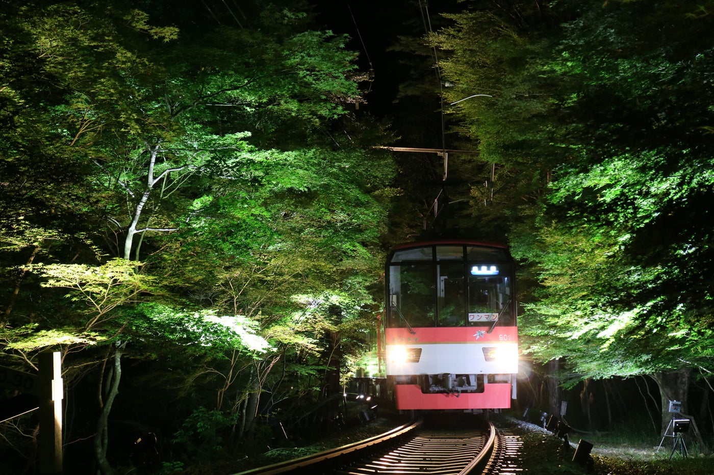 ライトアップ（外観）／画像提供：叡山電鉄