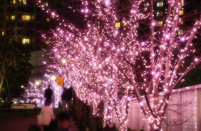 目黒川みんなのイルミネーション過去実施風景写真／画像提供：目黒川みんなのイルミネーション実行委員会