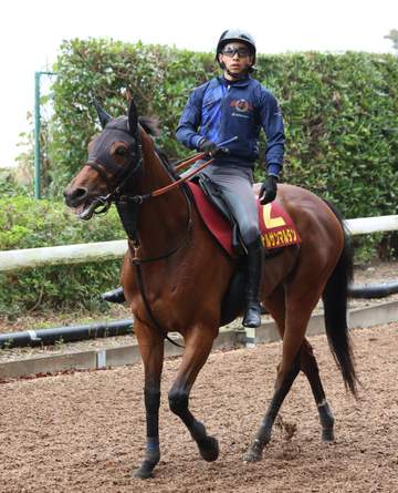 【秋華賞】カナルサンマルタン 好枠6枠12番に宮田師も笑顔 「真ん中より外で競馬しやすそう」輸送もクリアで一安心