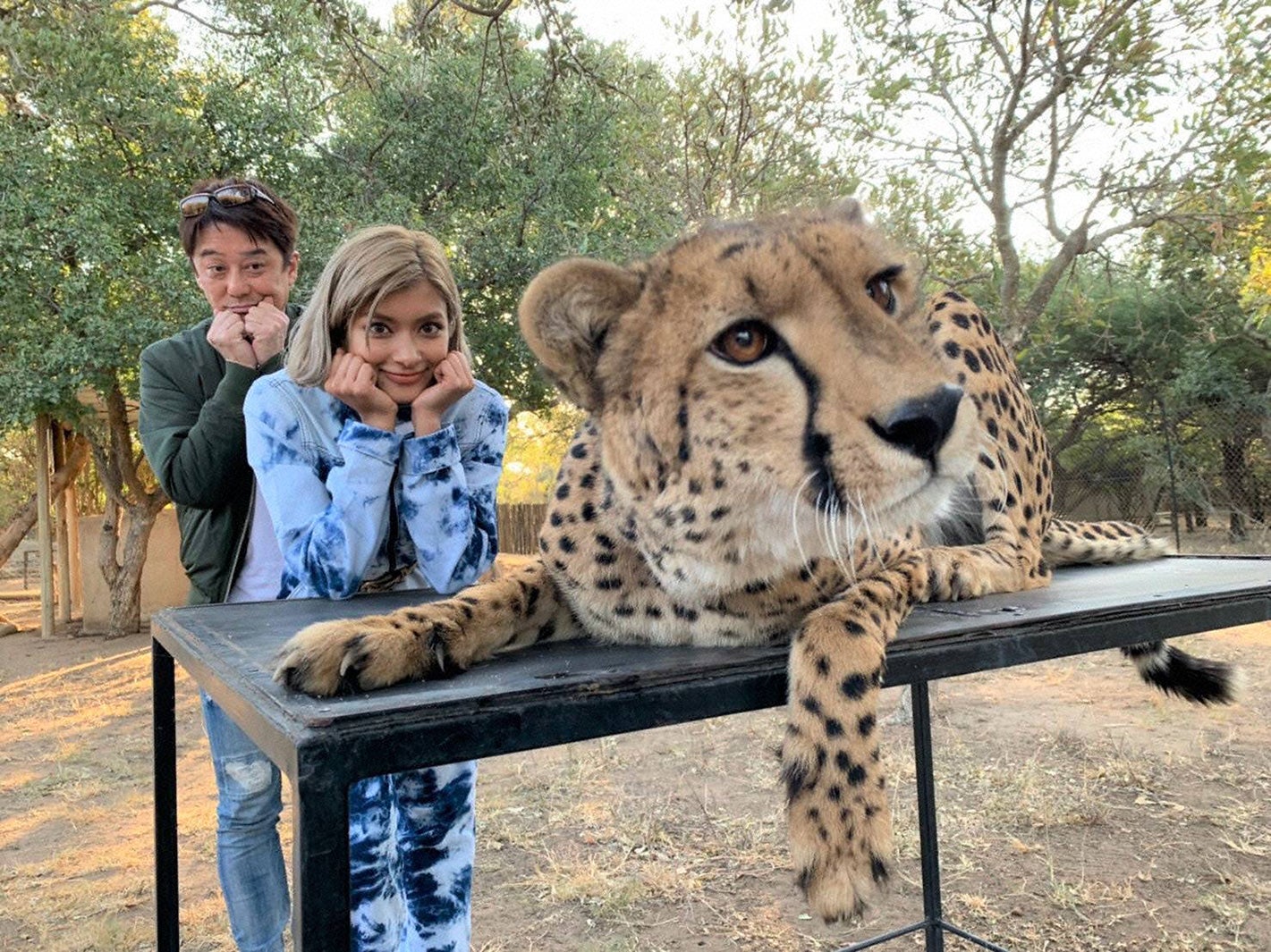 左から）坂上忍、ローラ （C）フジテレビ