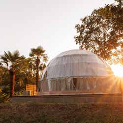 Morethann Paradise/提供画像