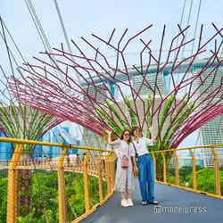 ガーデンズ・バイ・ザ・ベイ(C)モデルプレス