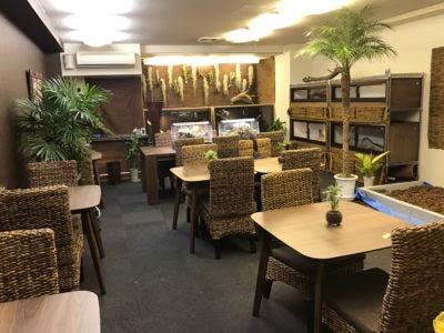 爬虫類カフェらぷとる／画像提供：合同会社ゴアナ