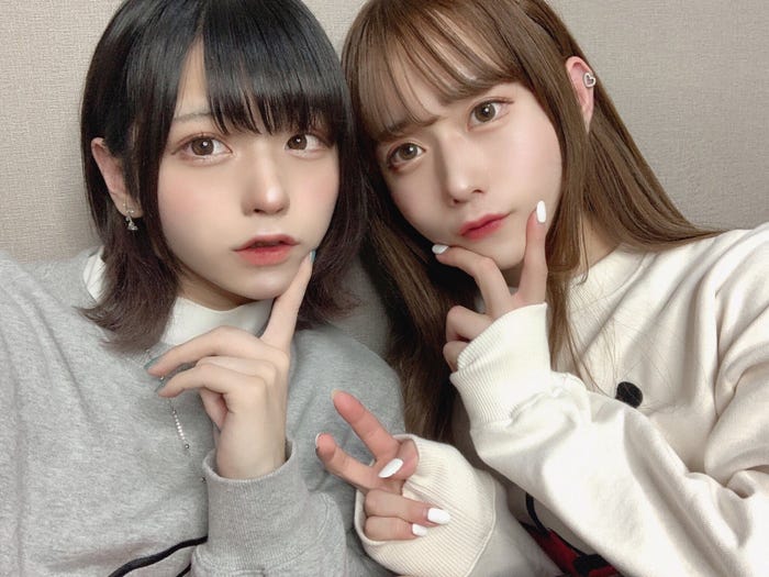 ぎんしゃむ、ぷうたん(提供写真)