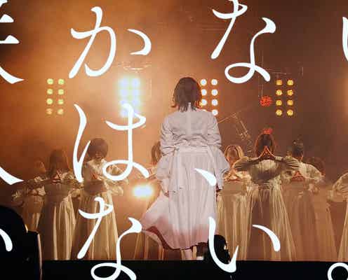 櫻坂46“改名後初”新メンバーオーディション開催決定「咲かない人は、いない」