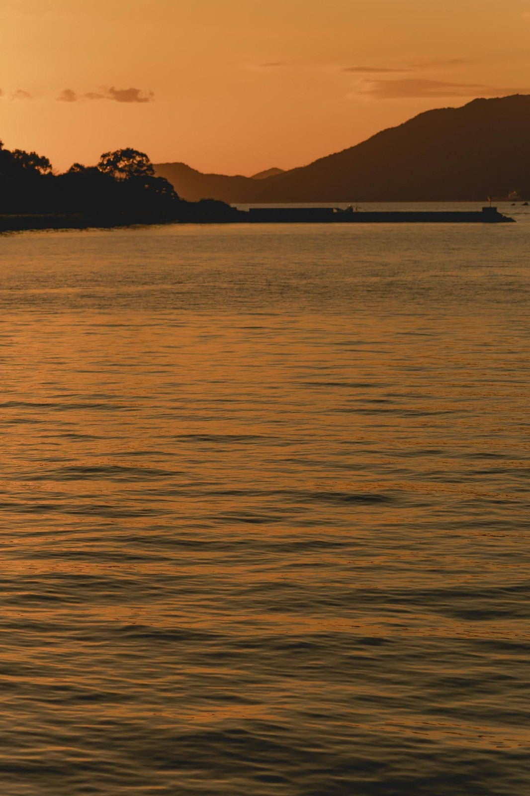 ユウナギ カフェ（提供写真）