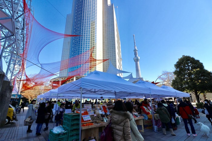 THE GREENMARKET SUMIDA／画像提供：代官山ワークス