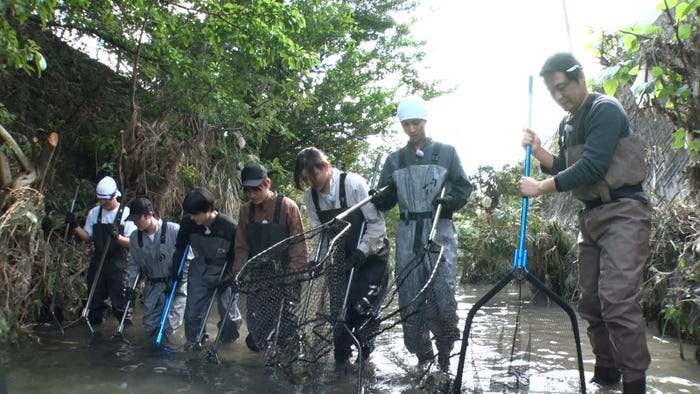 「ザ!鉄腕!DASH!!」(C)日本テレビ