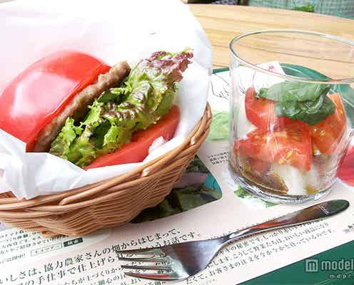 モスバーガー、巨大トマトで具材をサンドした新バーガー