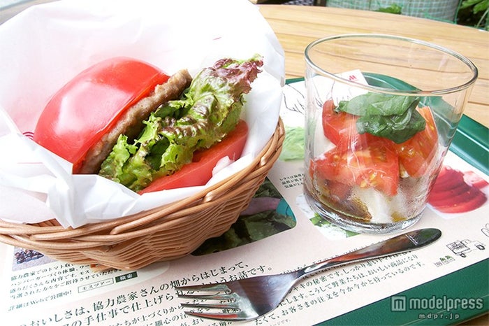 LLサイズのトマトを丸ごと1個使った「とま実バーガーセット オリーブオイル&バルサミコ酢ドレッシング」【モデルプレス】