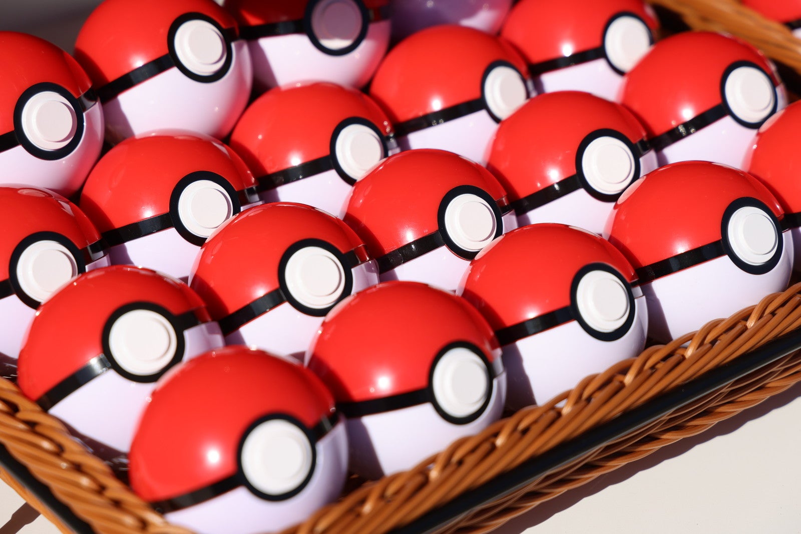 ポケパーク カントー／提供写真