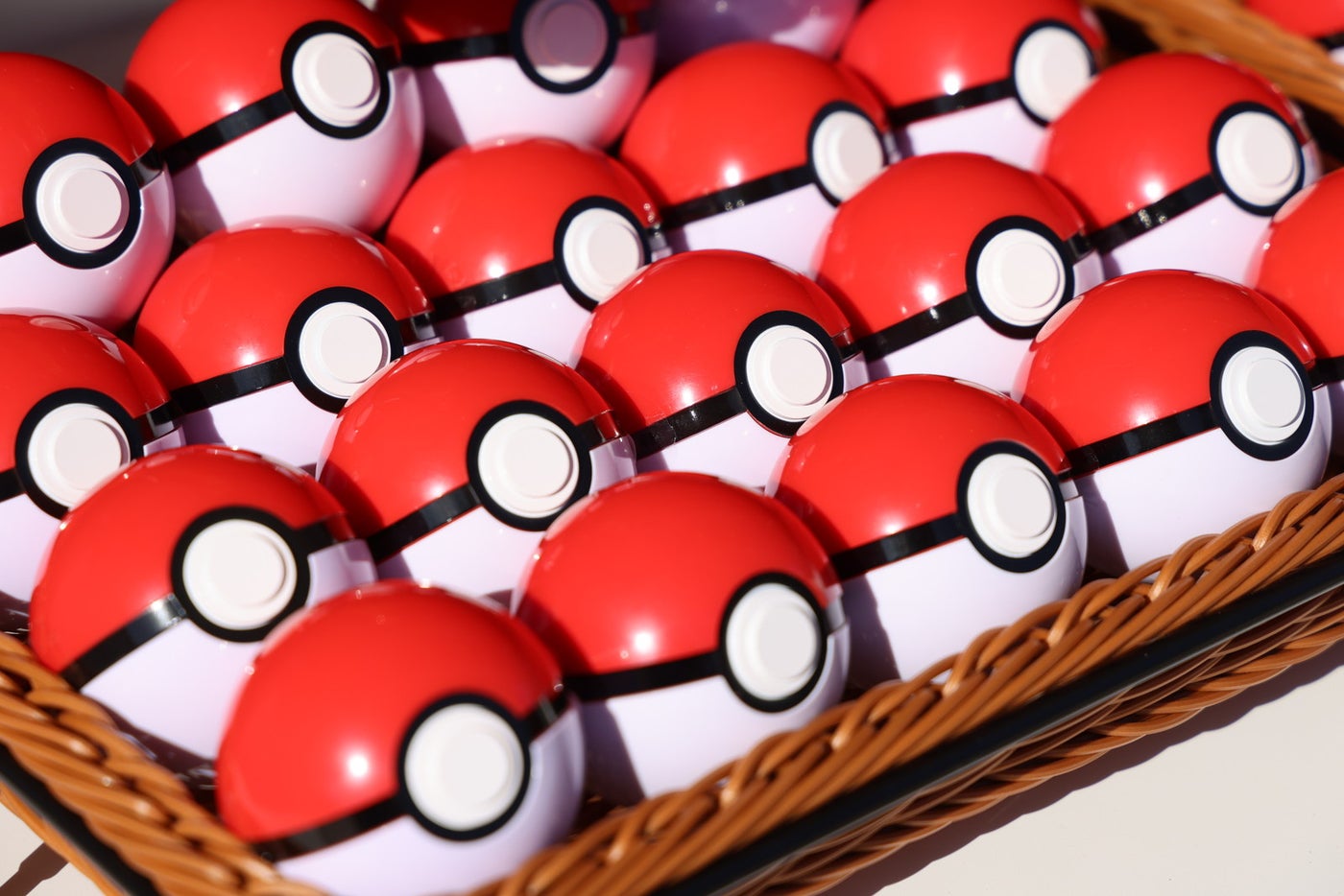 ポケパーク カントー/提供写真