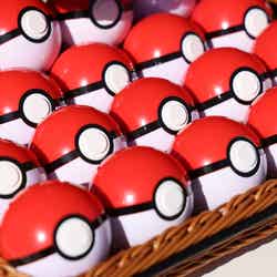 ポケパーク カントー/提供写真