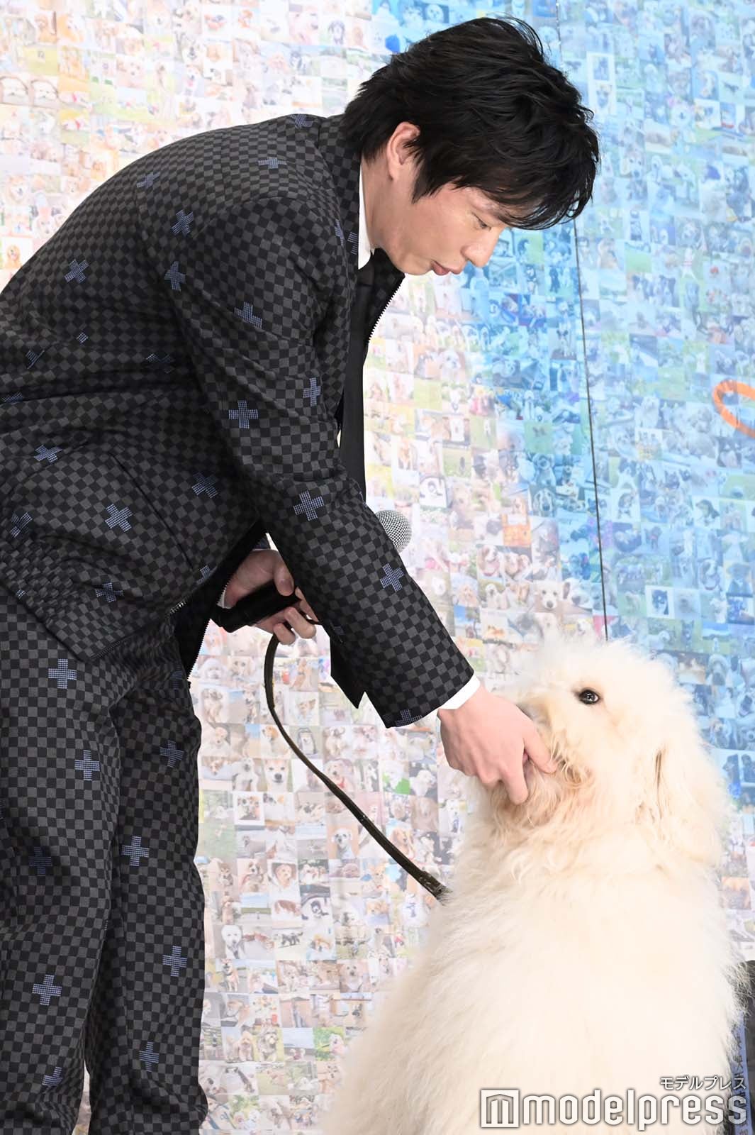 田中圭、ベック （C）モデルプレス