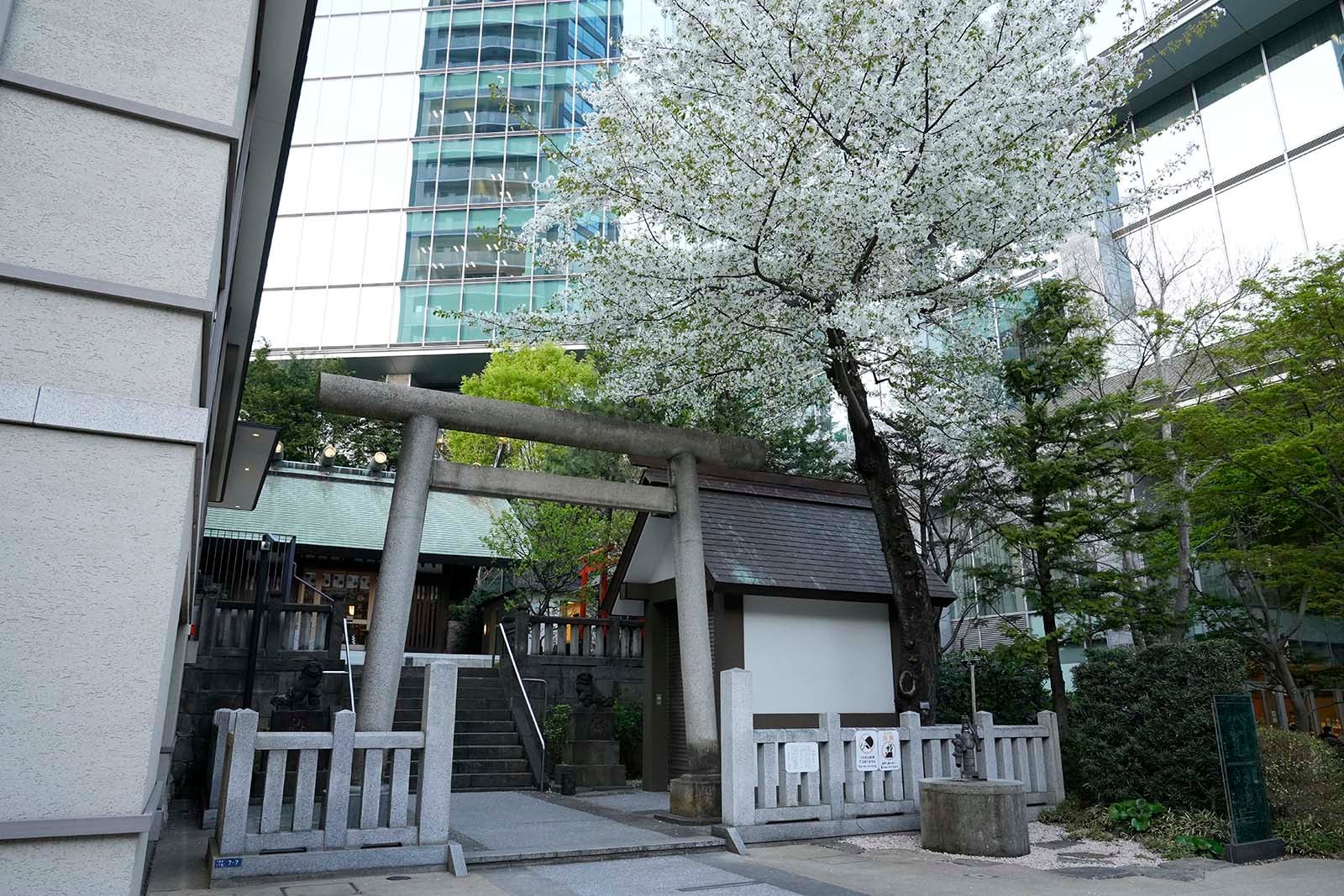 六本木天祖神社（C）提供写真