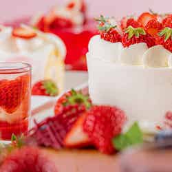 IMAIHAMA STRAWBERRY GARDEN ~スイーツ&ランチブッフェ~/画像提供:東急ホテルズ