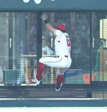 広島 末包昇大がビッグプレー後にフェンス激突で途中交代 球場騒然も自力でベンチ裏へ