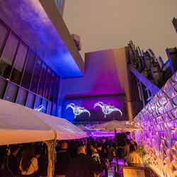 JAM17 DINING & BAR/提供画像