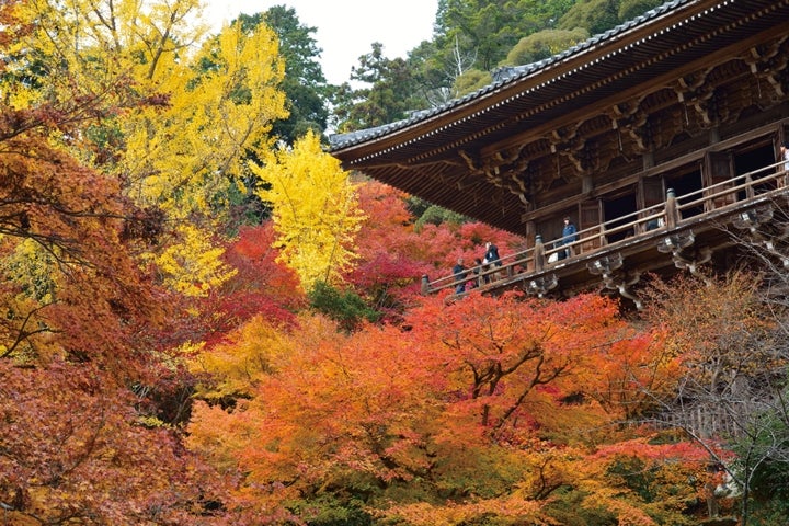 「銀の馬車道」周辺の見どころのひとつ「書写山円教寺」／画像提供：兵庫県中播磨県民センター