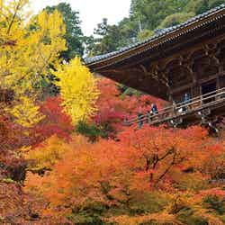 「銀の馬車道」周辺の見どころのひとつ「書写山円教寺」/画像提供:兵庫県中播磨県民センター