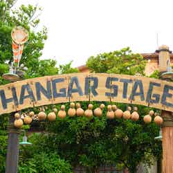 ハンガーステージ（C）Disney