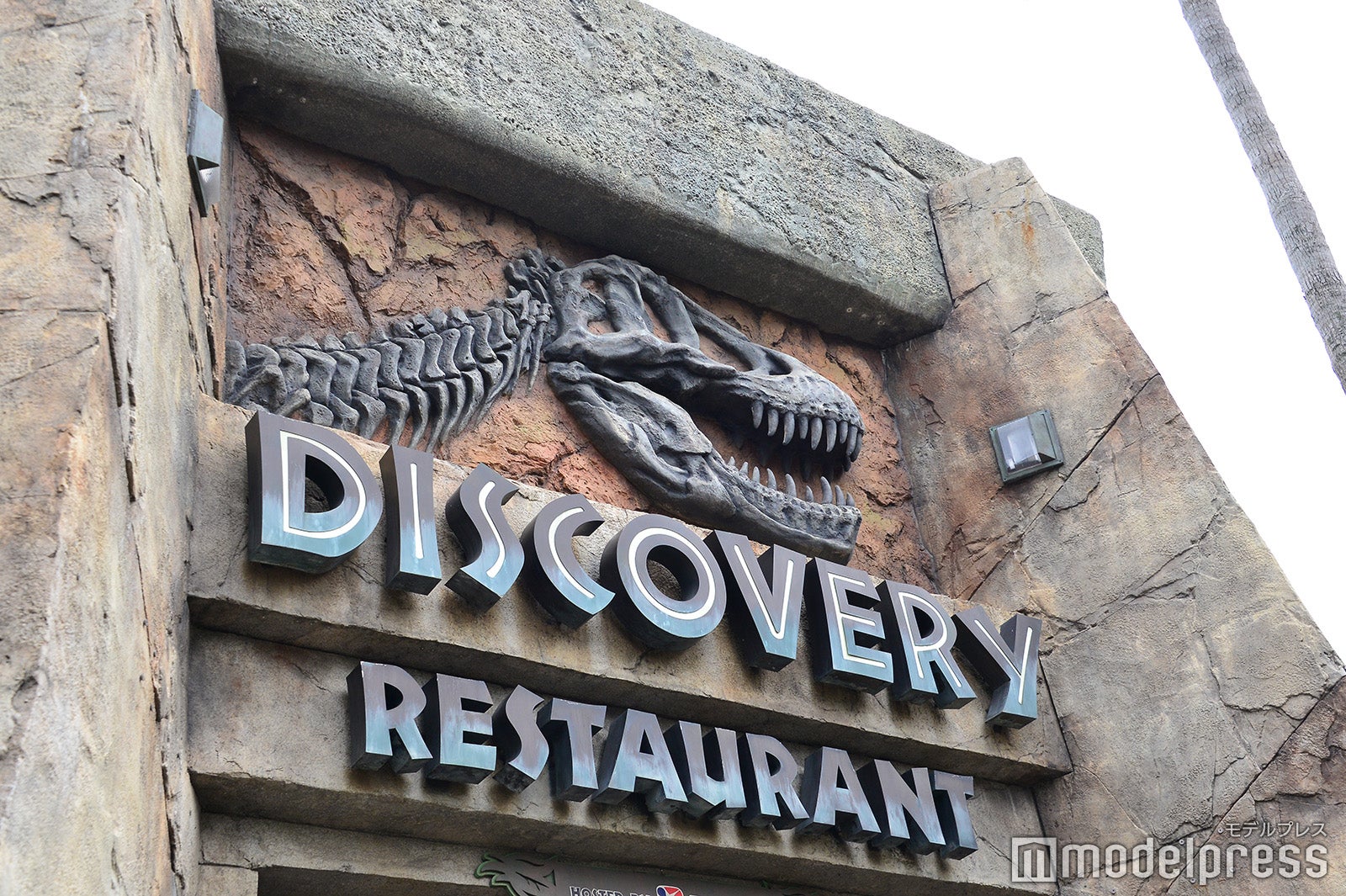 ディスカバリー・レストラン（C）モデルプレス