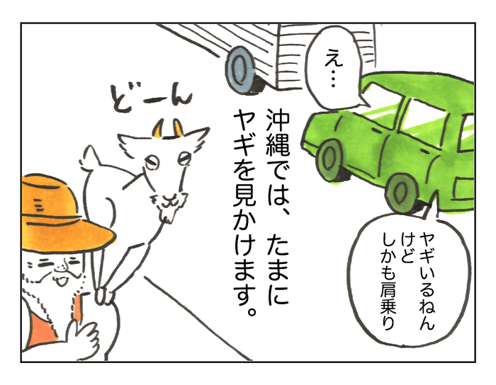 沖縄でワンオペ 日常的に過ごしている ヤギたち すごい そして 親しみのヤギ 第57話 モデルプレス 沖縄でワンオペ 日常的に過ごしている ヤギたち すごい そして 親しみのヤギ 第57話 モデルプレス