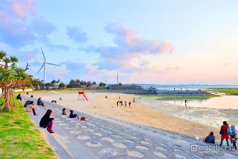 カップルやファミリーが多く訪れる