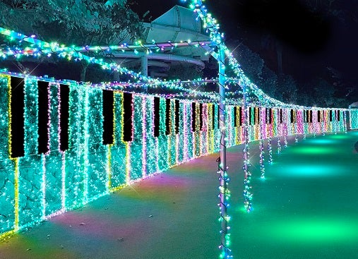 よみうりランド ジュエルミネーション／画像提供：よみうりランド