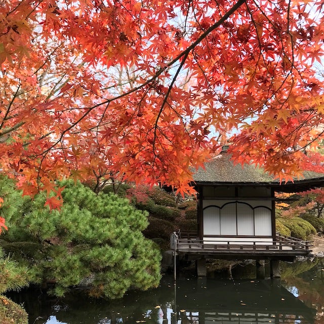 【和歌山】秋しかみられない絶景♡ 地元民や観光客も訪れる「紅葉スポット」