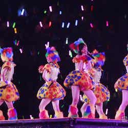 「シャムネコ」/「AKB48 2013真夏のドームツアー~まだまだ、やらなきゃいけないことがある~」福岡公演2日目より(C)AKS