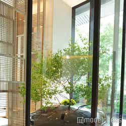 フォーシーズンズホテル大阪(C)モデルプレス