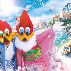 画像提供:ユー・エス・ジェイ