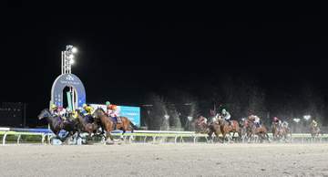 【地方競馬】ブリリアントカップ 1番人気サントノーレは直線で差されて2着 初コンビの横山武「勝ち馬が強すぎました」