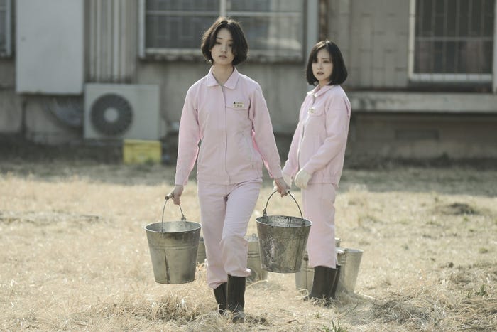 剛力彩芽、安達祐実(C)テレビ朝日