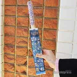 (C)モデルプレス