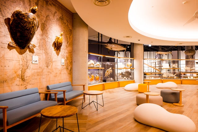 サメVR水槽のあるスペース[シャークダディズルーム] （提供画像）