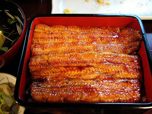 尾花／尾花のうな重 by ttanabe