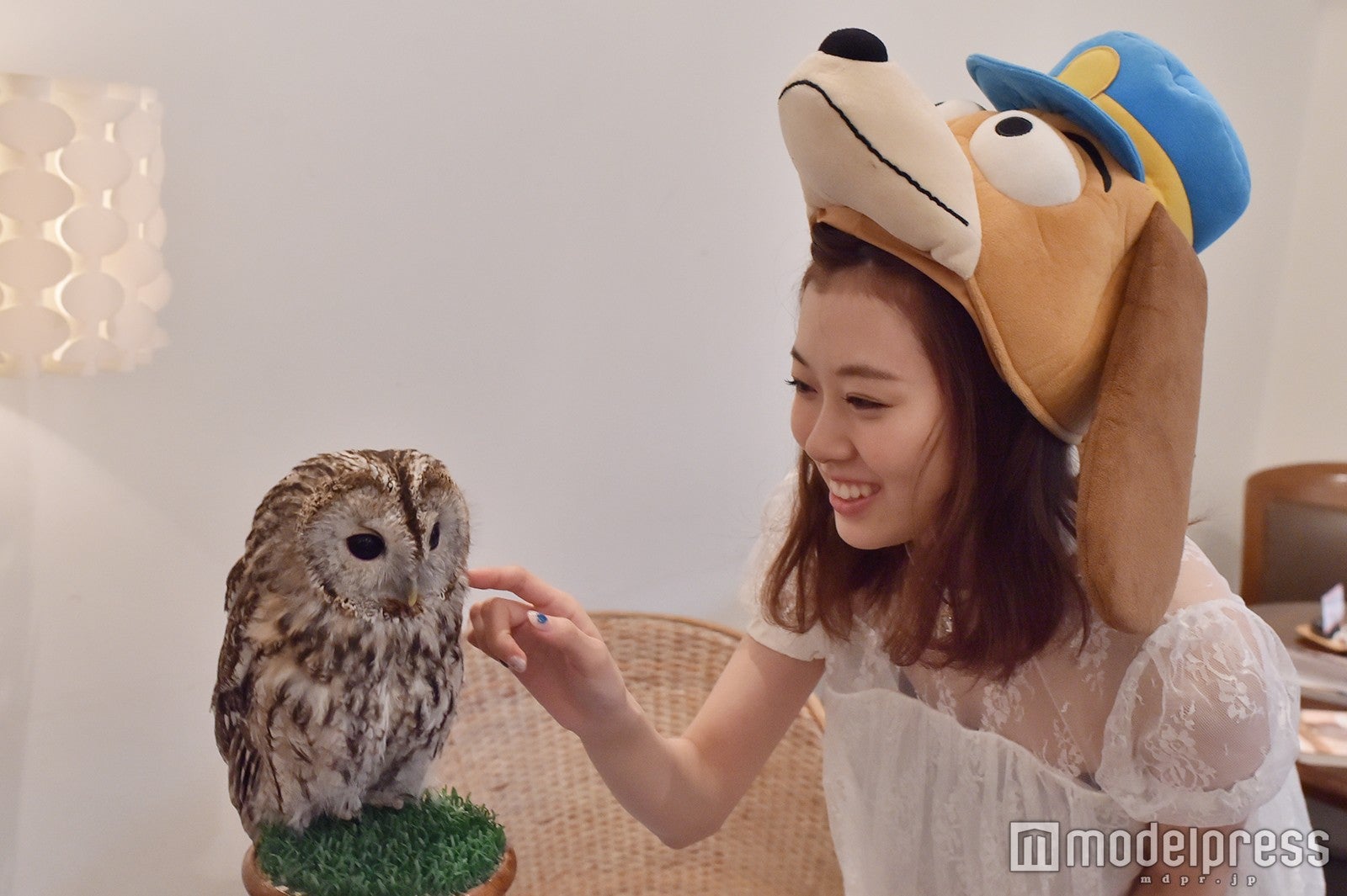 フクロウに怖がられないように、犬の被り物をして触れるみるきー（C）モデルプレス
