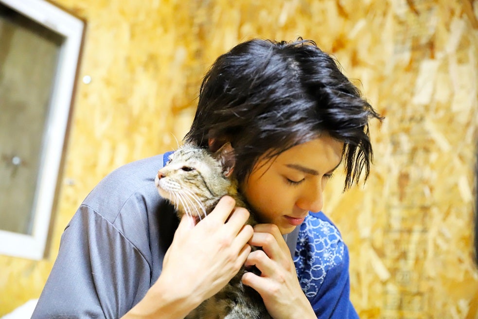 山田裕貴、もふもふ“猫まみれ” 王国で悪戦苦闘