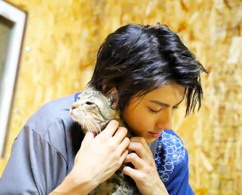山田裕貴、もふもふ“猫まみれ” 王国で悪戦苦闘
