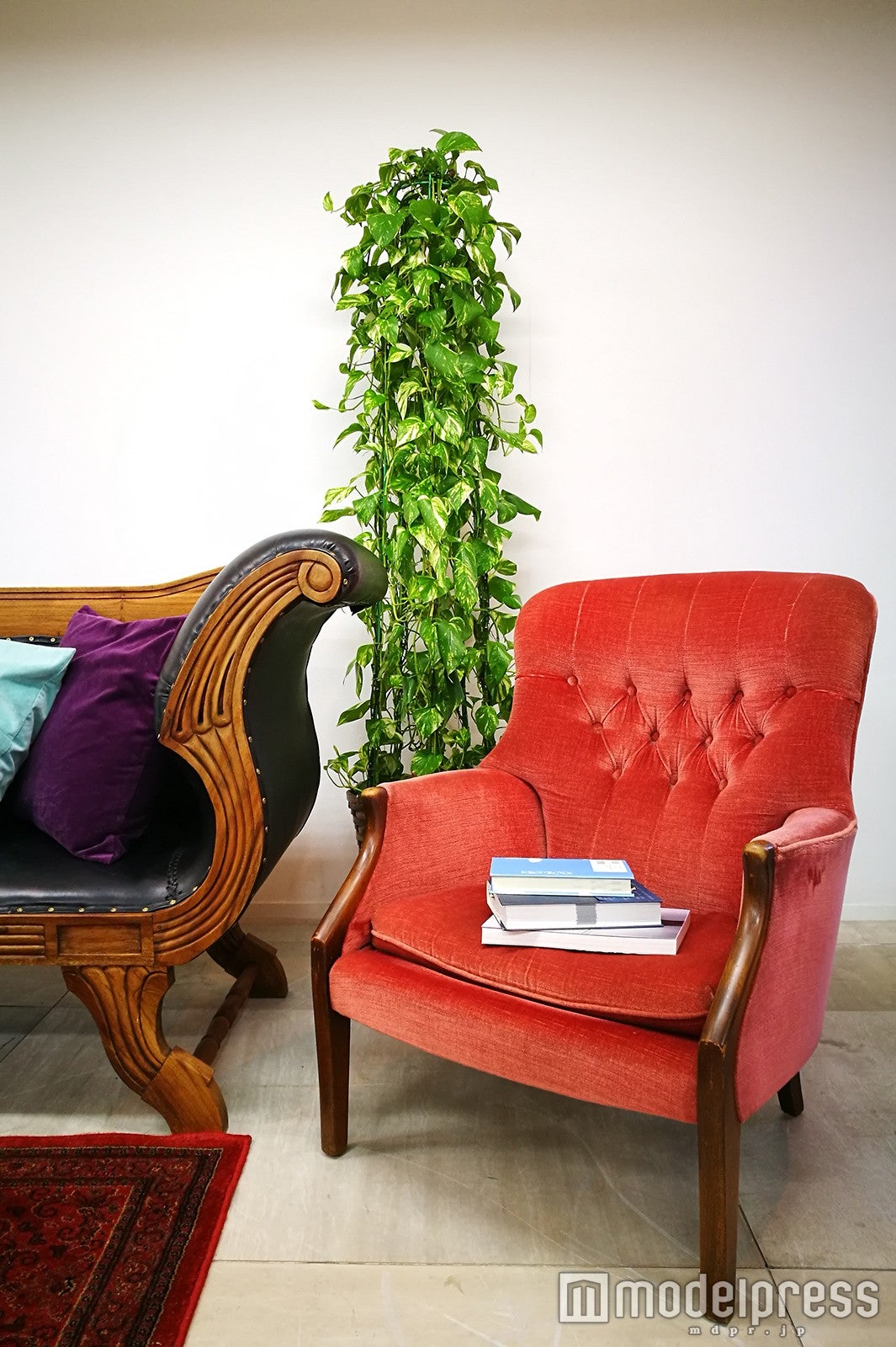 カラー撮影（C）モデルプレス