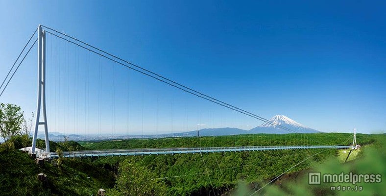 「箱根西麓・三島大吊橋（愛称：三島スカイウォーク）」／画像提供：フジコー