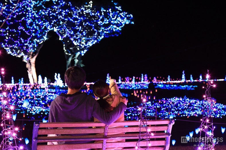 キラキラベンチ／画像提供：マザー牧場